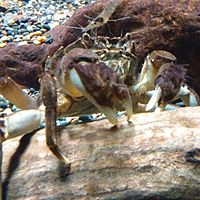 北の大地の水族館