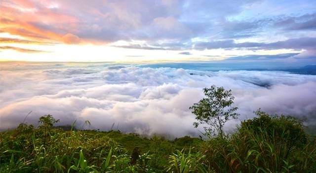ผลการค้นหารูปภาพสำหรับ หนาวไทย
