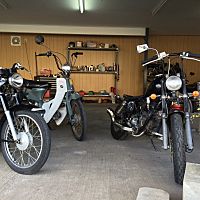 アオヒゲモーターサイクル