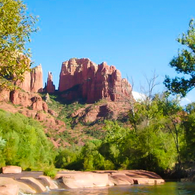 プロケアネイル Line Official Account