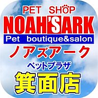 ペットプラザ ノアズアーク箕面店 Line Official Account