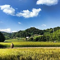 普賢寺ふれあいの駅