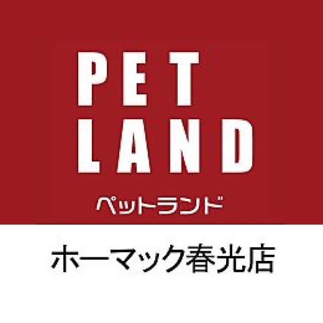 ペットランドホーマック春光店 Line Official Account