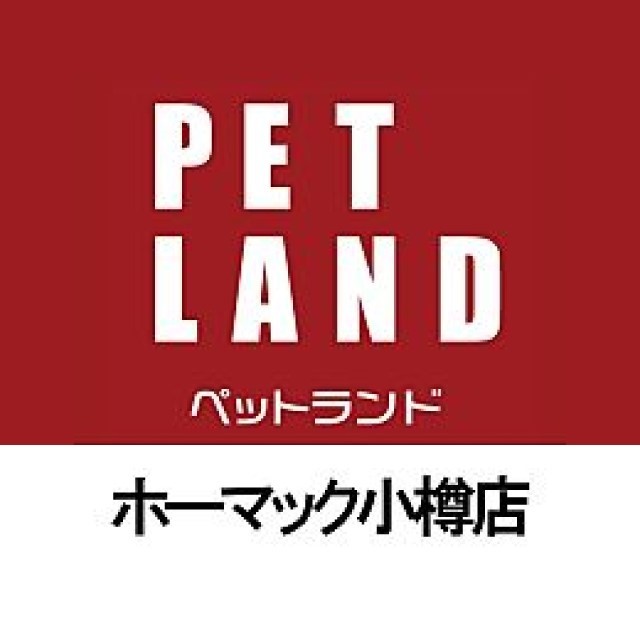 ペットランド小樽店 Line Official Account