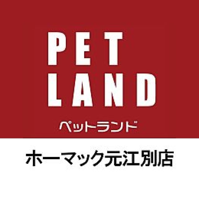 ペットランド元江別店 Line Official Account