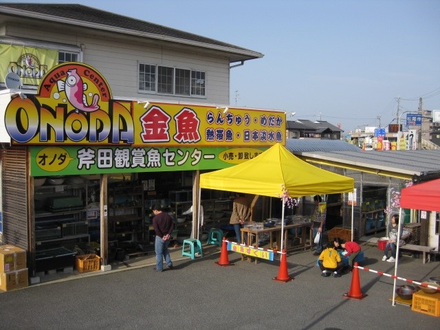 魚 センター 観賞 斧田