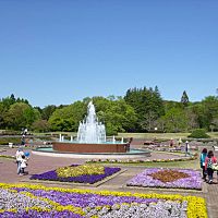 茨城県植物園