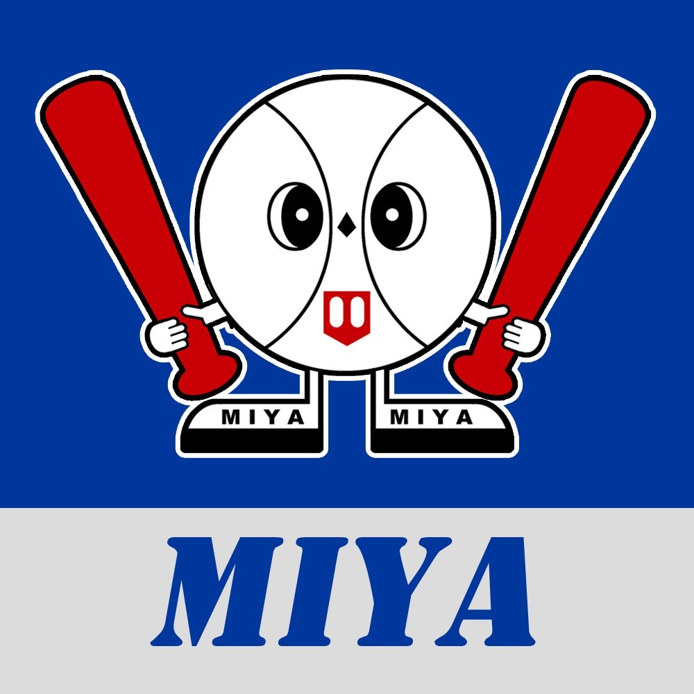 バッティングチケット 宇都宮市 ミヤバッティングスタジアム