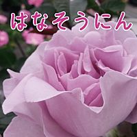 花創人ガーデニング教室