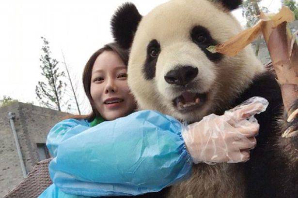 Aduh Imutnya.. Foto Panda Selfie Bareng Turis Jadi Viral di China