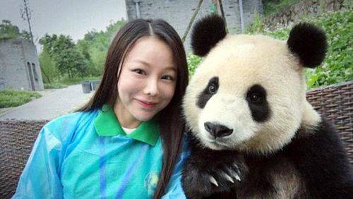 Aduh Imutnya.. Foto Panda Selfie Bareng Turis Jadi Viral di China