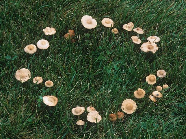 7 Fenomena Aneh di Dunia yang Gak Bisa Dijelaskan Secara Ilmiah