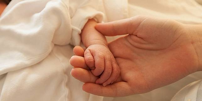 Photo: Copyright teco-baby.com