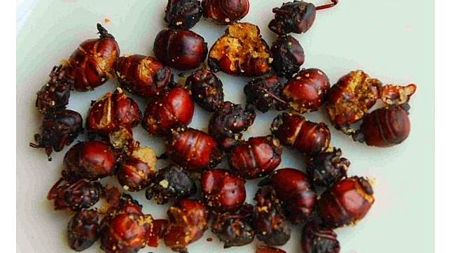 Ini 10 Makanan dari Berbagai Negara Tuk Temani Nonton di Bioskop, Ikan Teri Sampe Semut Jadi Favorit