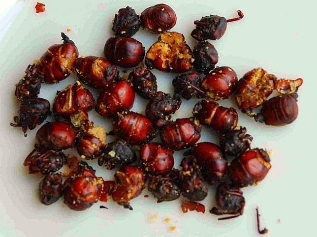 Ini 10 Makanan dari Berbagai Negara Tuk Temani Nonton di Bioskop, Ikan Teri Sampe Semut Jadi Favorit
