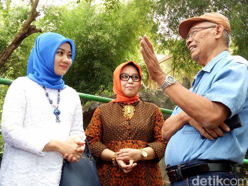 Cek Beruang Kurus di Bonbin Bandung, Ini Kata Istri Ridwan Kamil