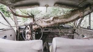 Menyeramkan, Begini Kondisi Kuburan Ratusan Mobil Jadul