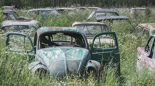 Menyeramkan, Begini Kondisi Kuburan Ratusan Mobil Jadul