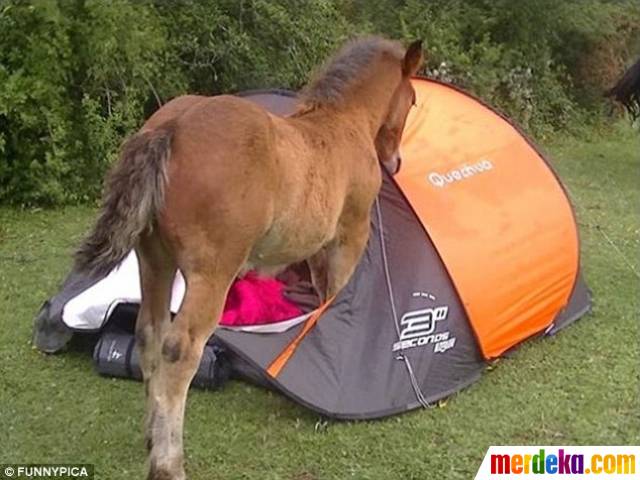 Kocak, Foto-foto Liburan yang Gagal Total