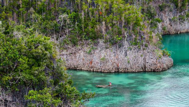  Indonesia Juara Destinasi Selam, Hiu-hiu di Raja Ampat 