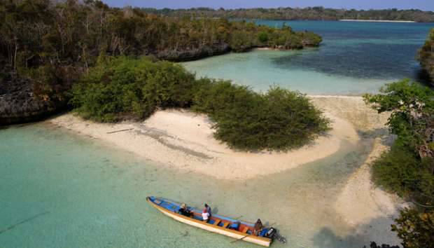  Indonesia Juara Destinasi Selam, Hiu-hiu di Raja Ampat 