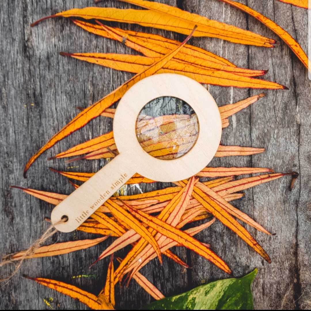 Little Simple Magnifying glass LINE SHOPPING