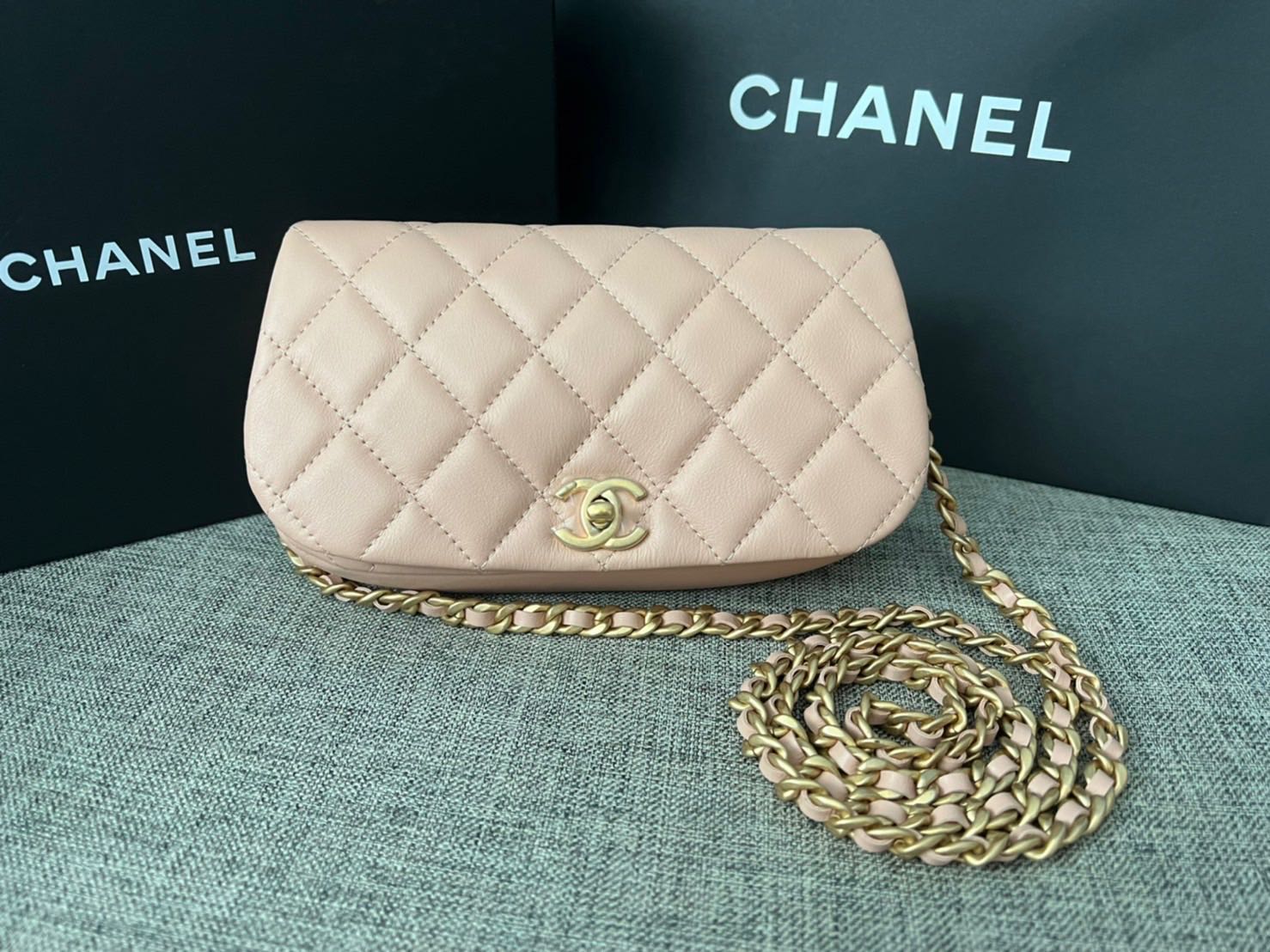 holo chanel bag