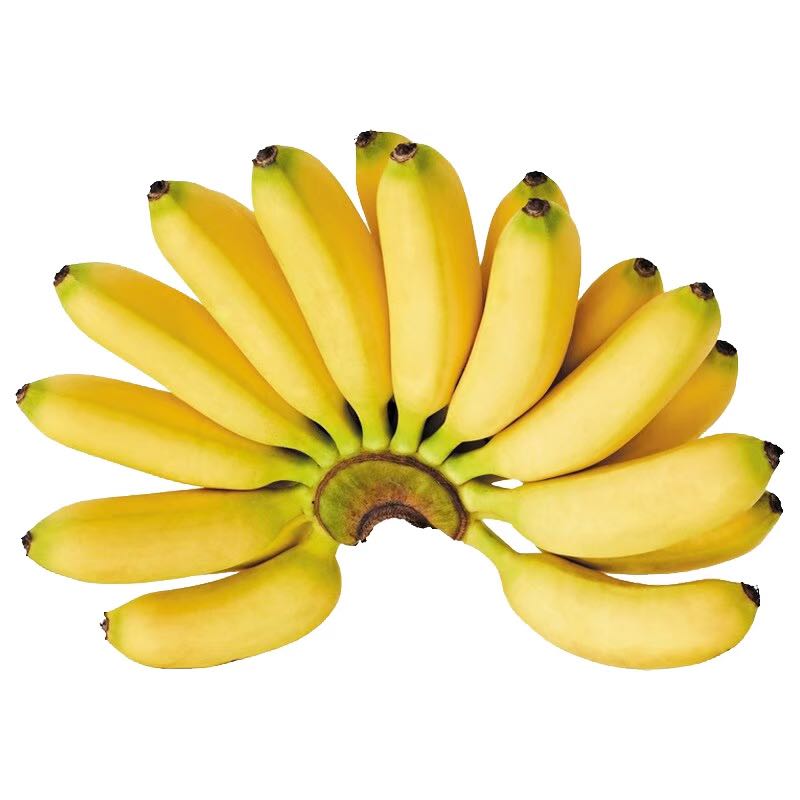 กล้วยไข่ : Sugar Banana | LINE SHOPPING