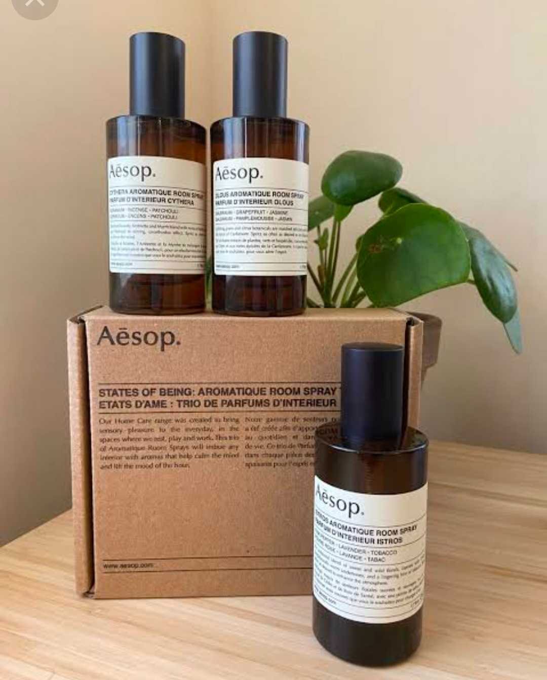 Aesop states of being best sale aromatique room spray trio
