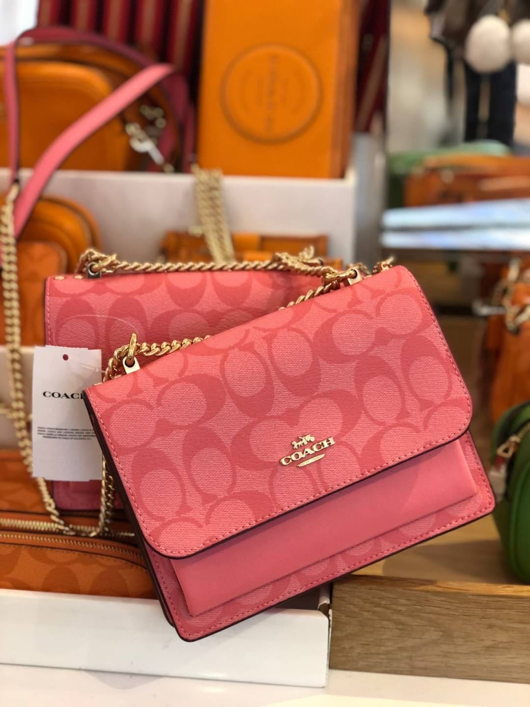 Coach pouch mini top
