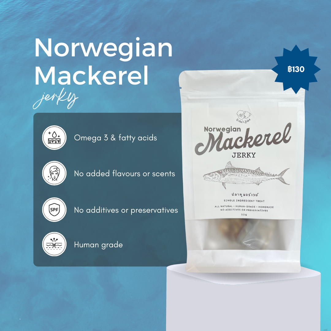 Norwegian Mackerel Jerky เนื้อปลาทูนอร์เวย์ 50g LINE SHOPPING