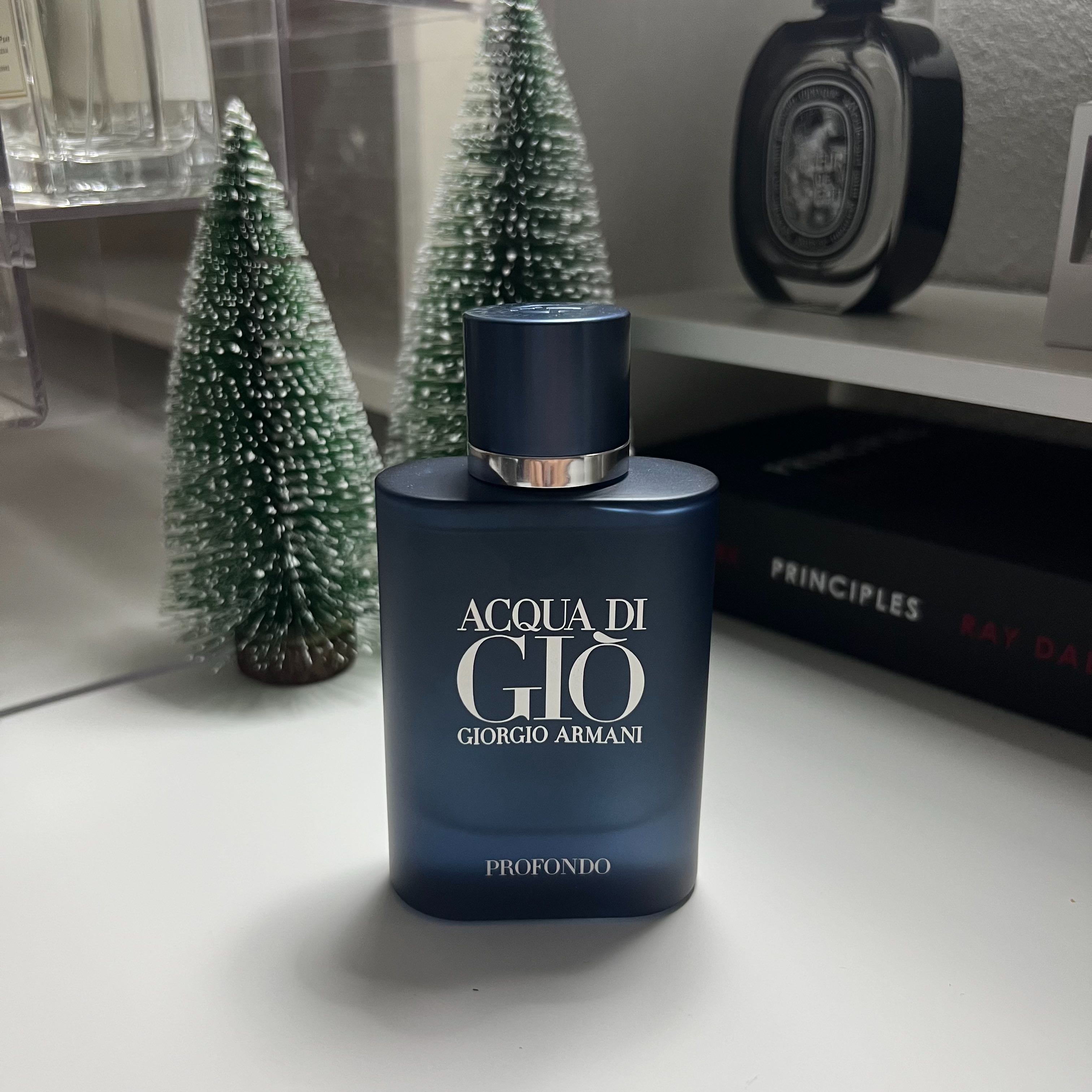 acqua di giò hommeprofondo