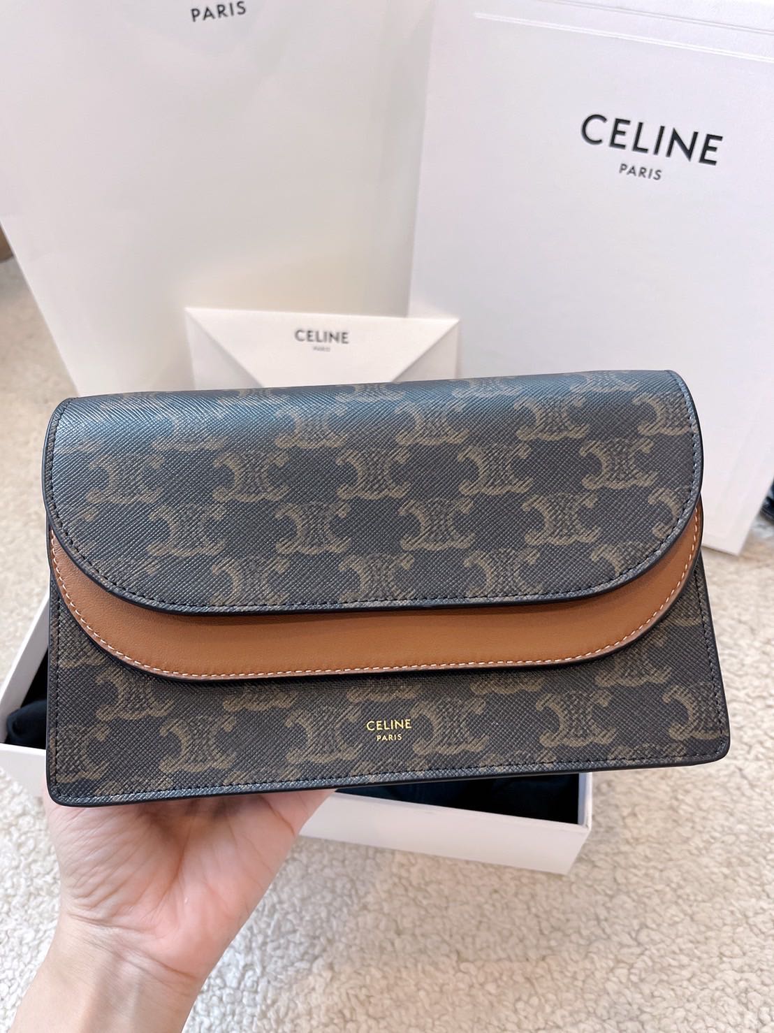 celine wallet on strap in triomphe canvas