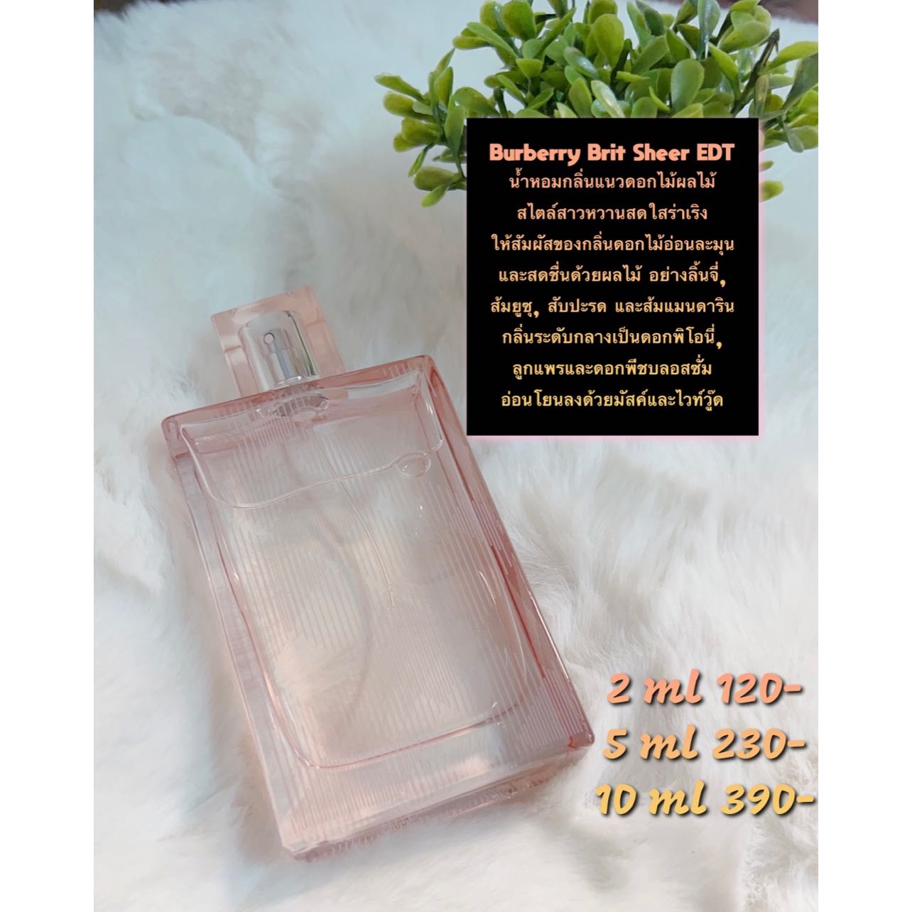 Burberry brit sheer 2ml cheap