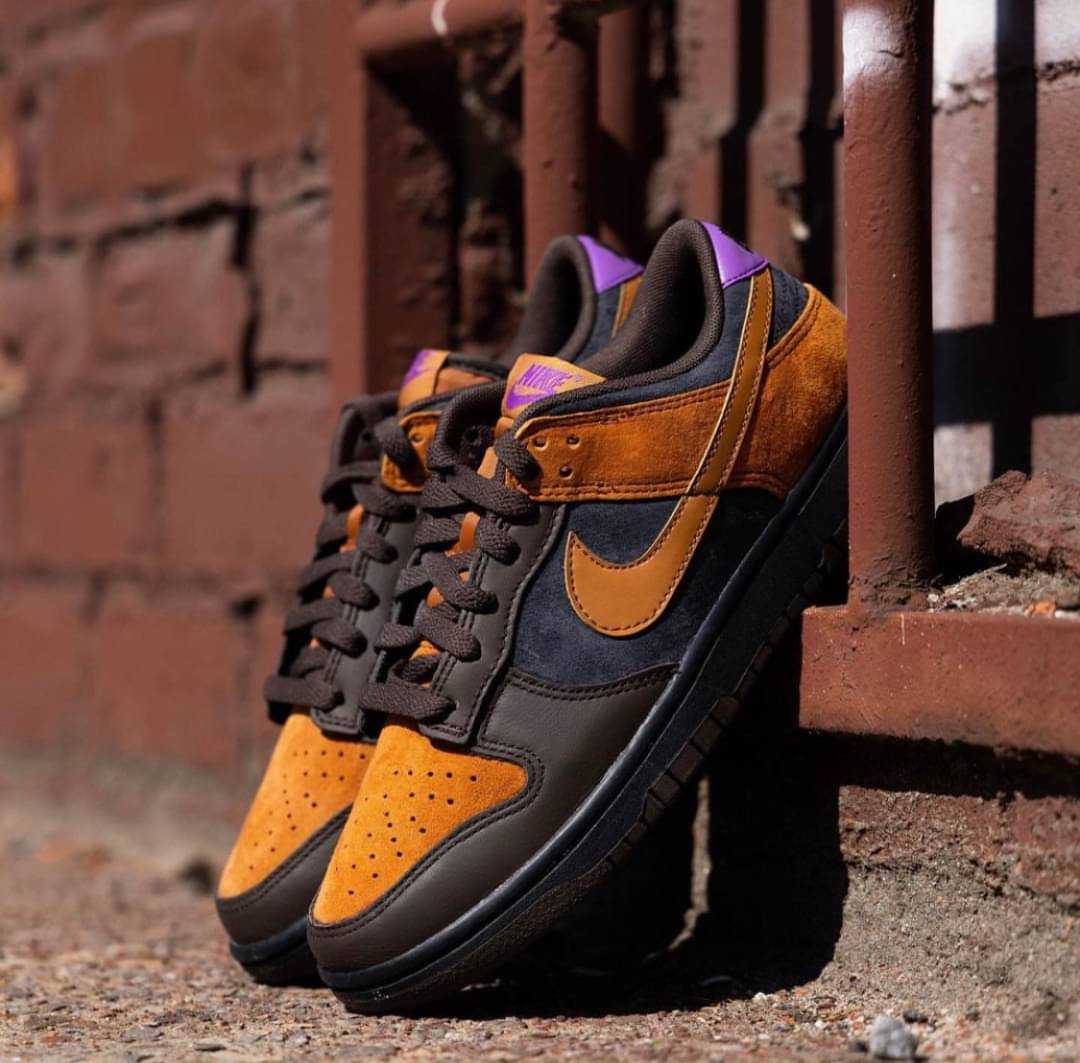 Nike sb dunk store low goofy boy
