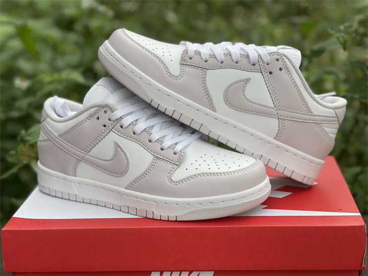 Nike 2025 dunk violet