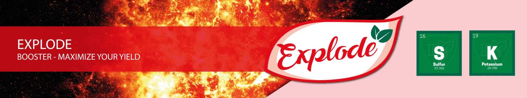 EXPLODE - BUD BOOSTER