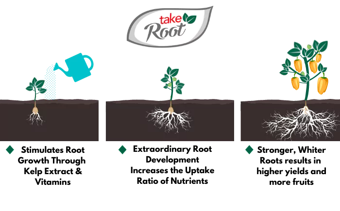 TAKE ROOT - ROOT STIMULATOR usage