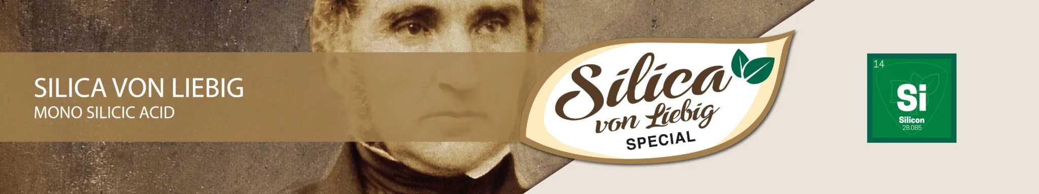 SILICA VON LIEBIG - MONO SILICIC ACID