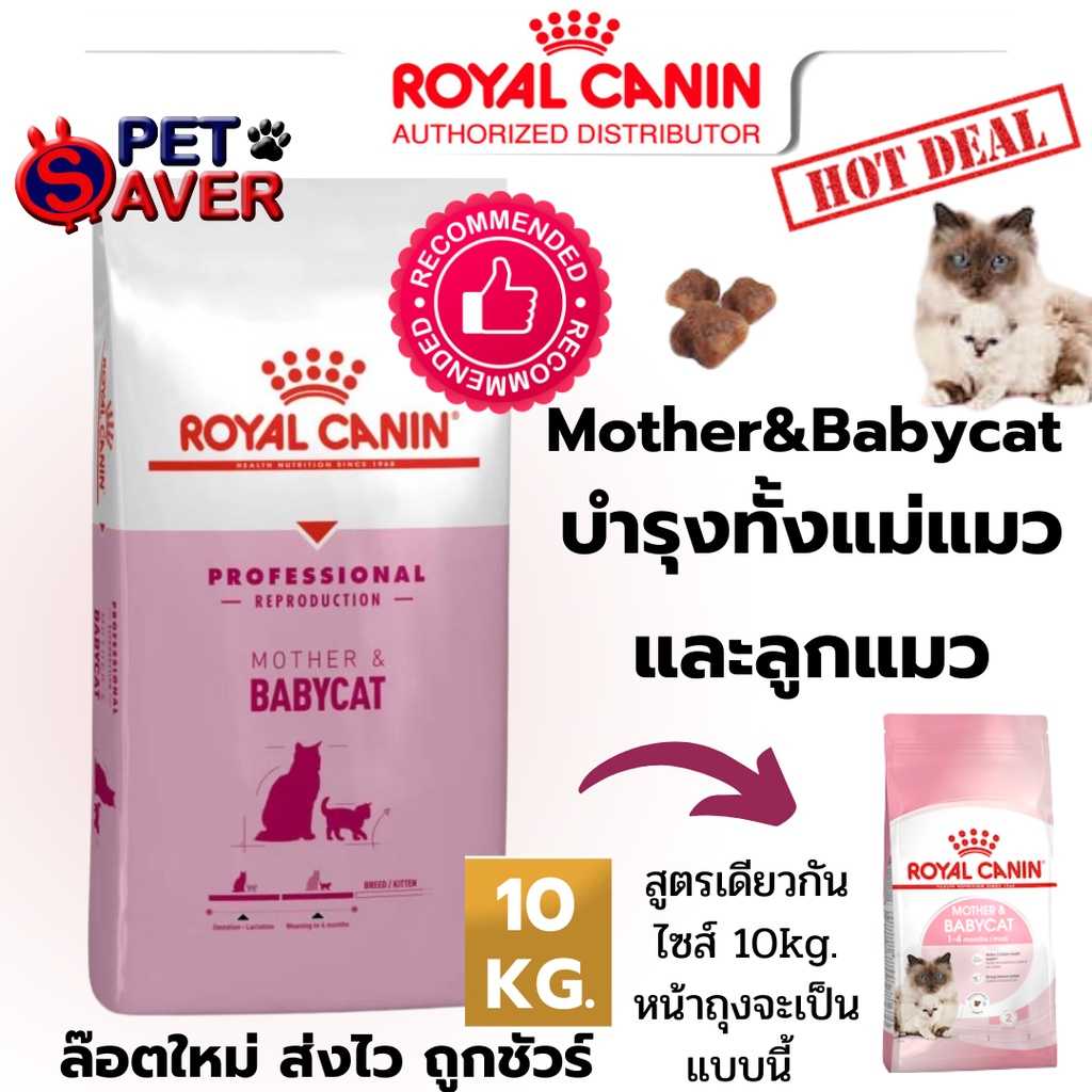 Royal canin mother and babycat 10 kg hot sale