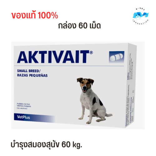 Aktivait small clearance dog