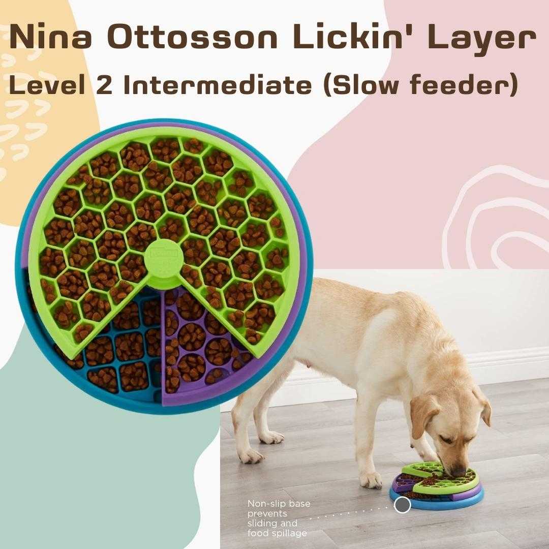 Level 2 Nina Ottosson by Outward Hound Lickin' Layers Interactive Dog