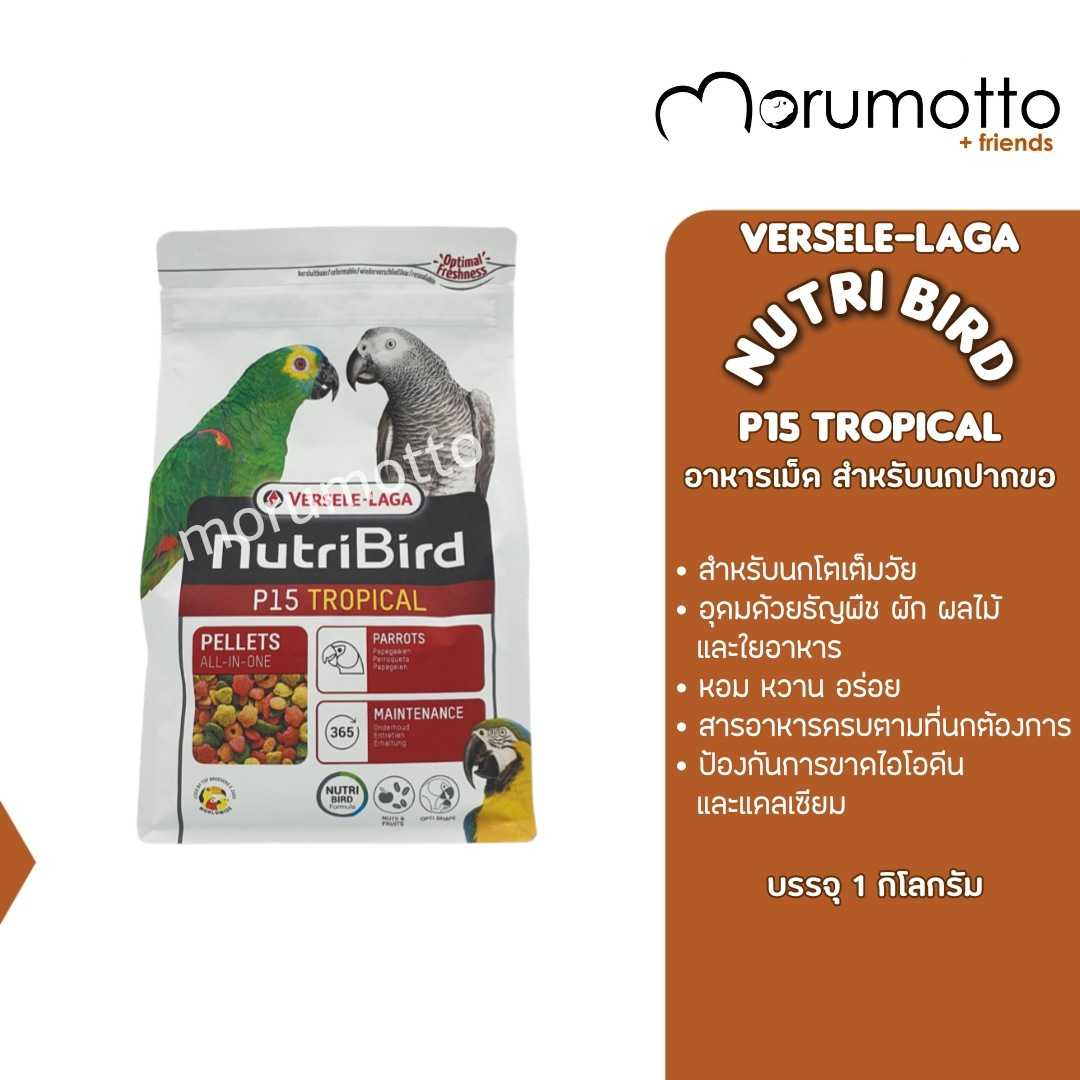 P15 parrot food online