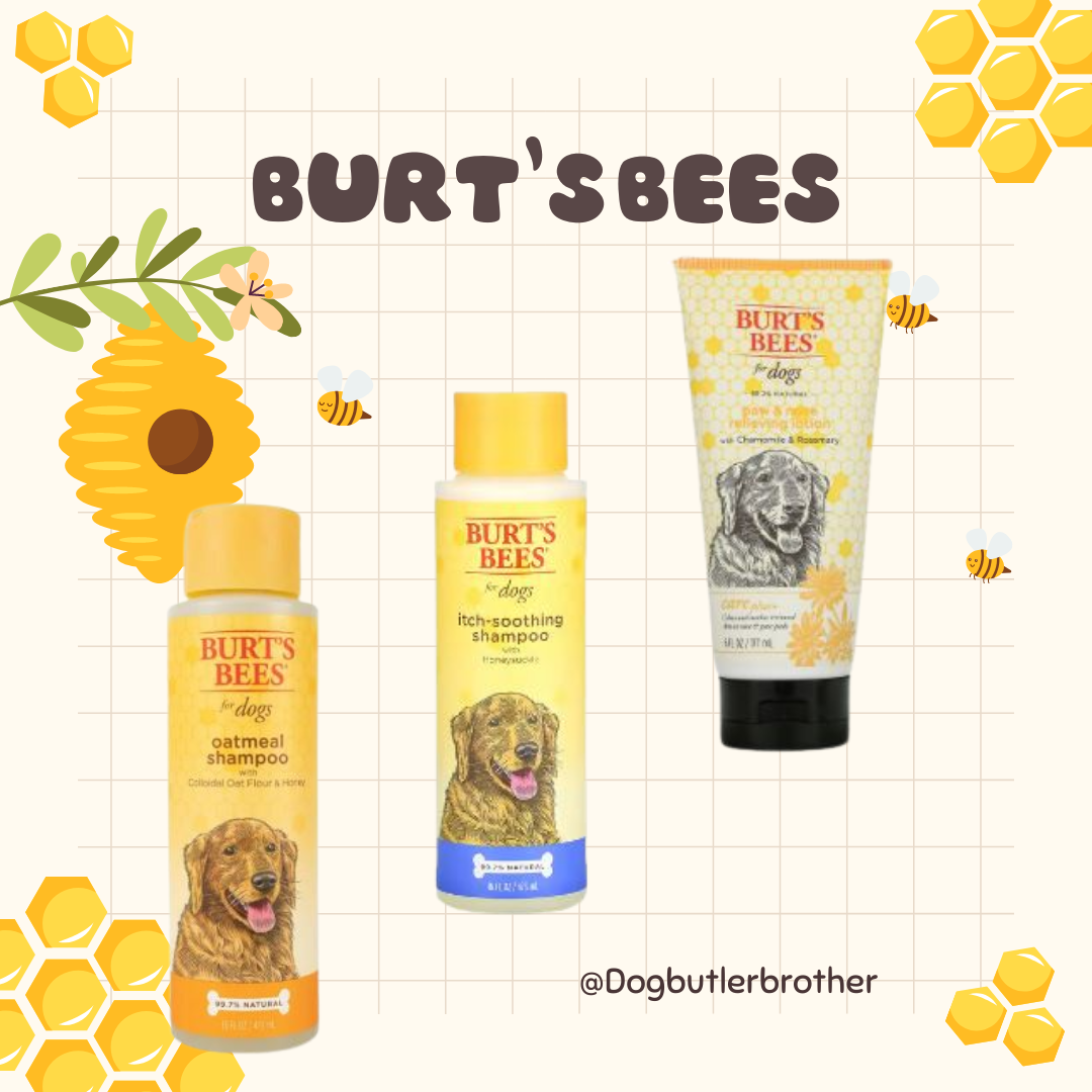 Burt's bees 2025 dog products