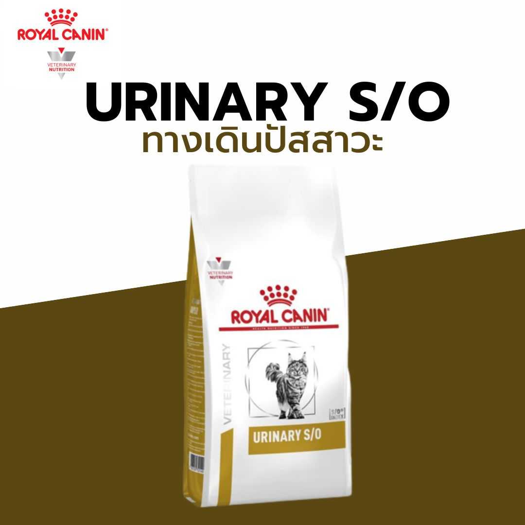 Urinary high dilution sales