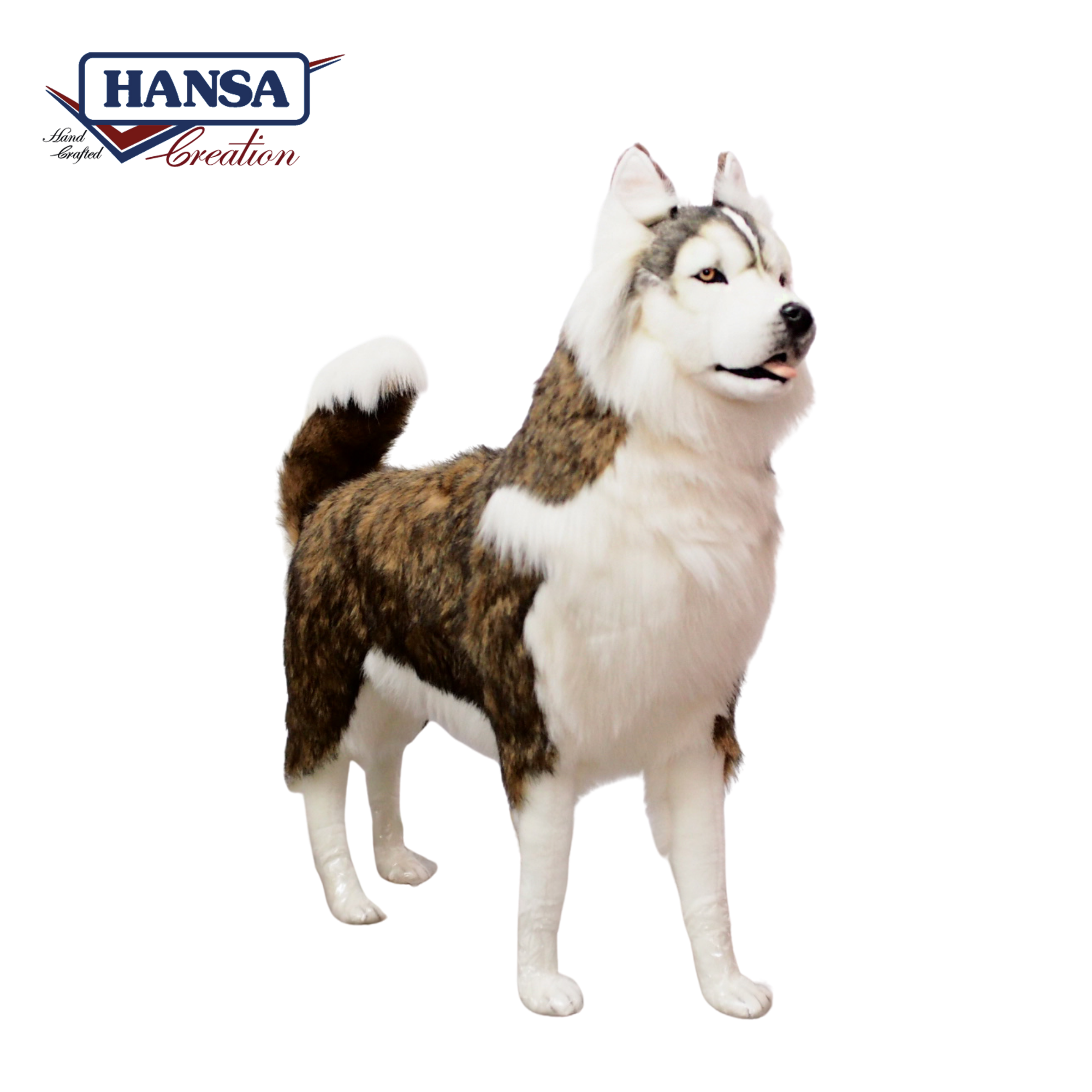 Hansa husky outlet
