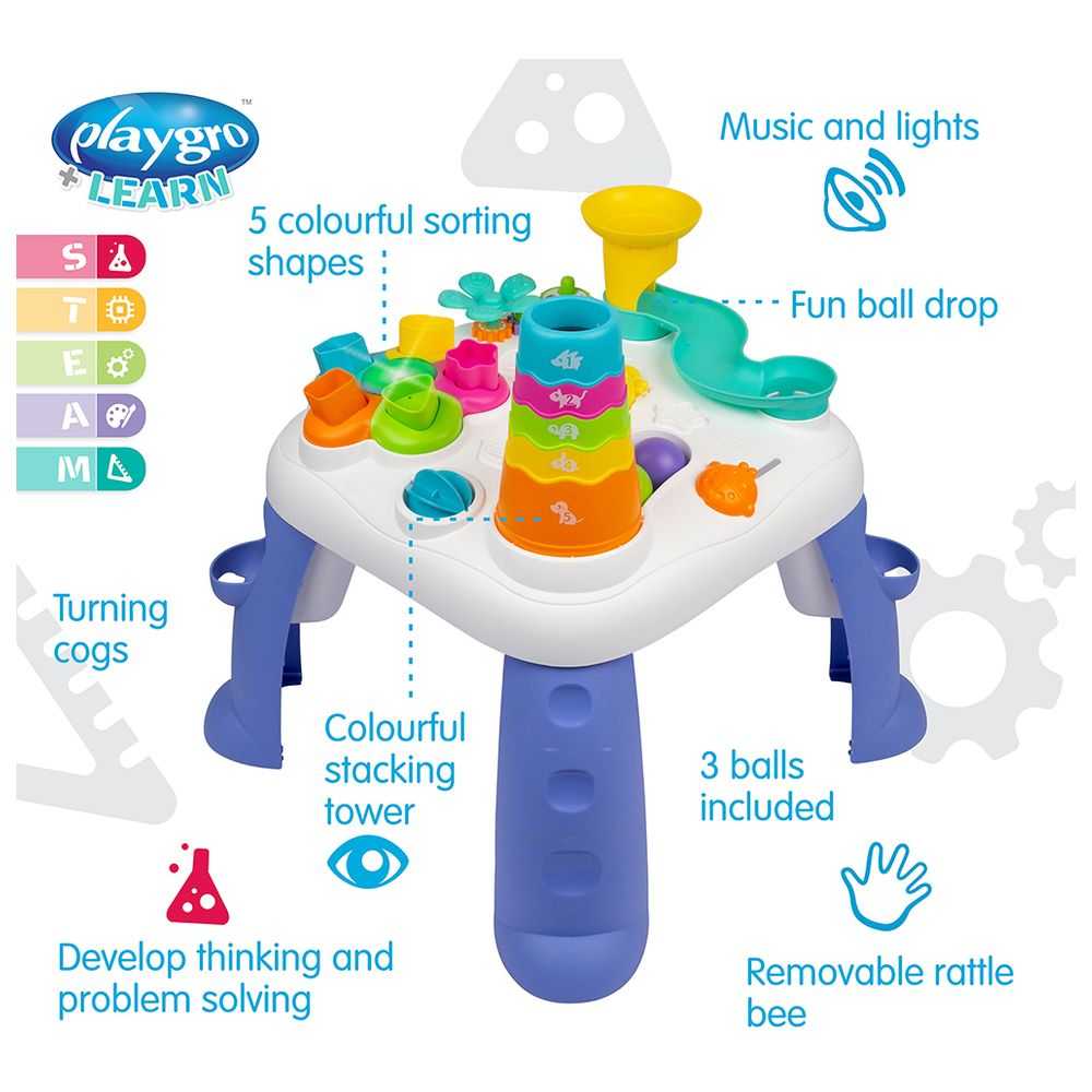 Carousel activity table 2025