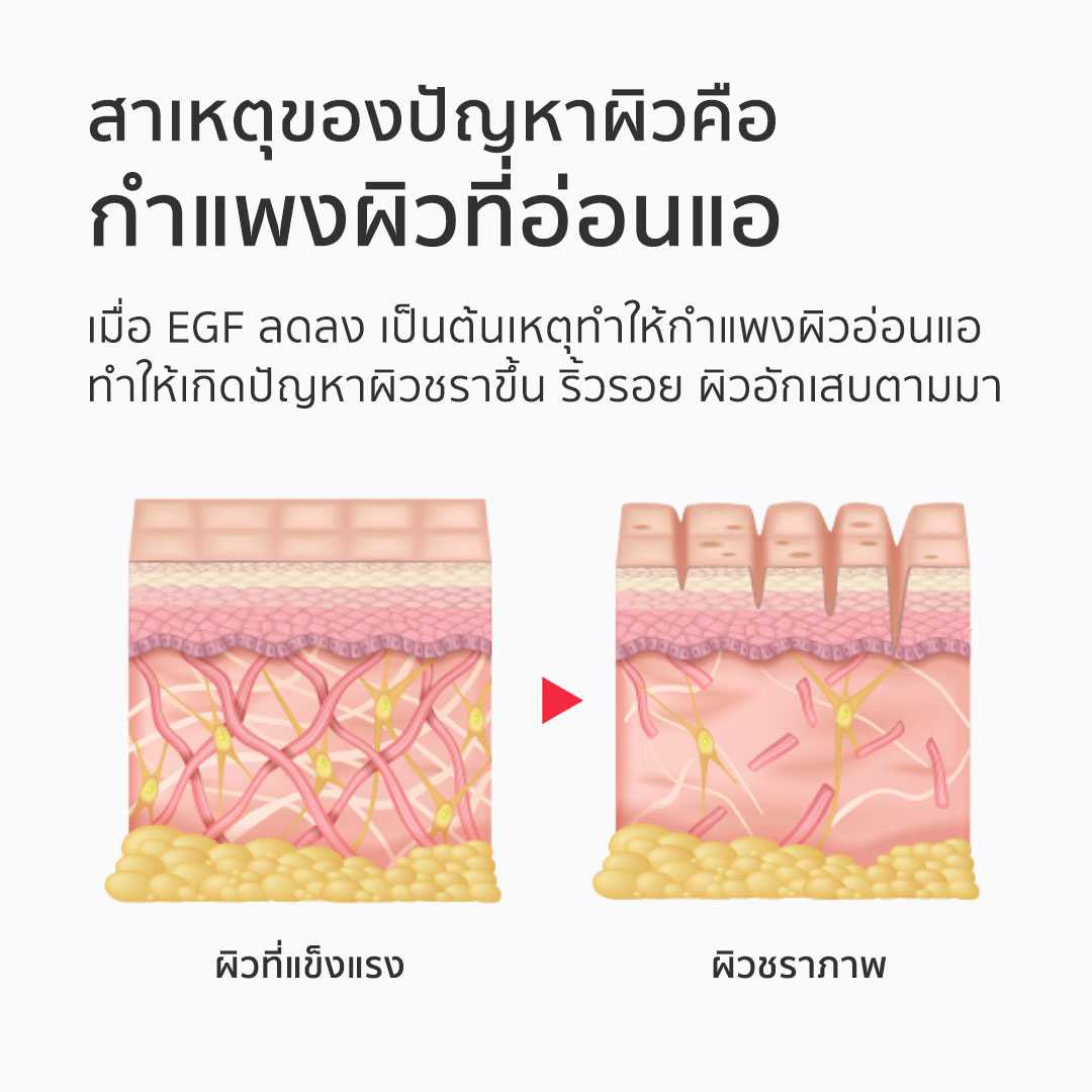 Face Factory🇰🇷 Derma EGF Ampoule LINE SHOPPING