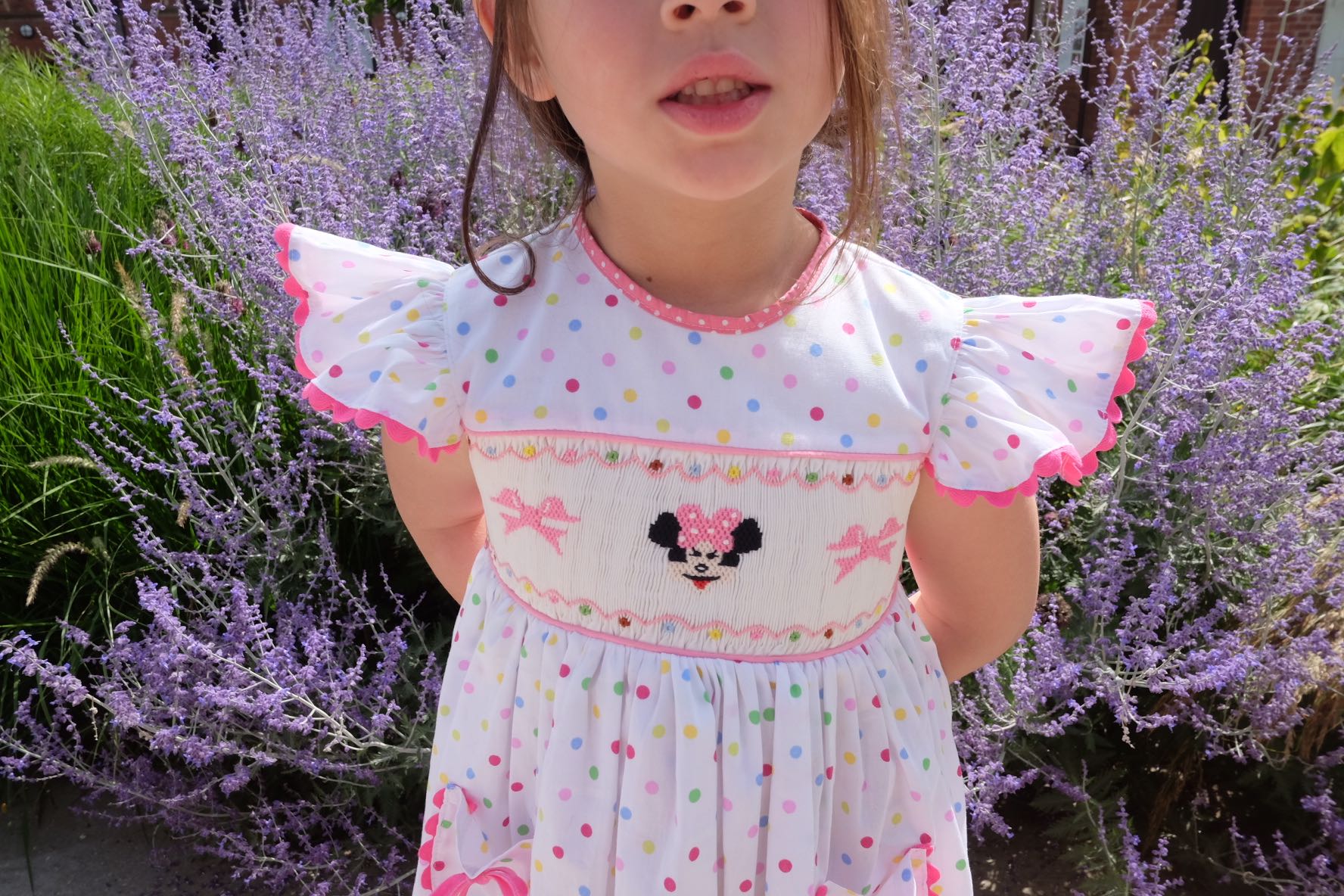 Minnie Dress LINE SHOPPING