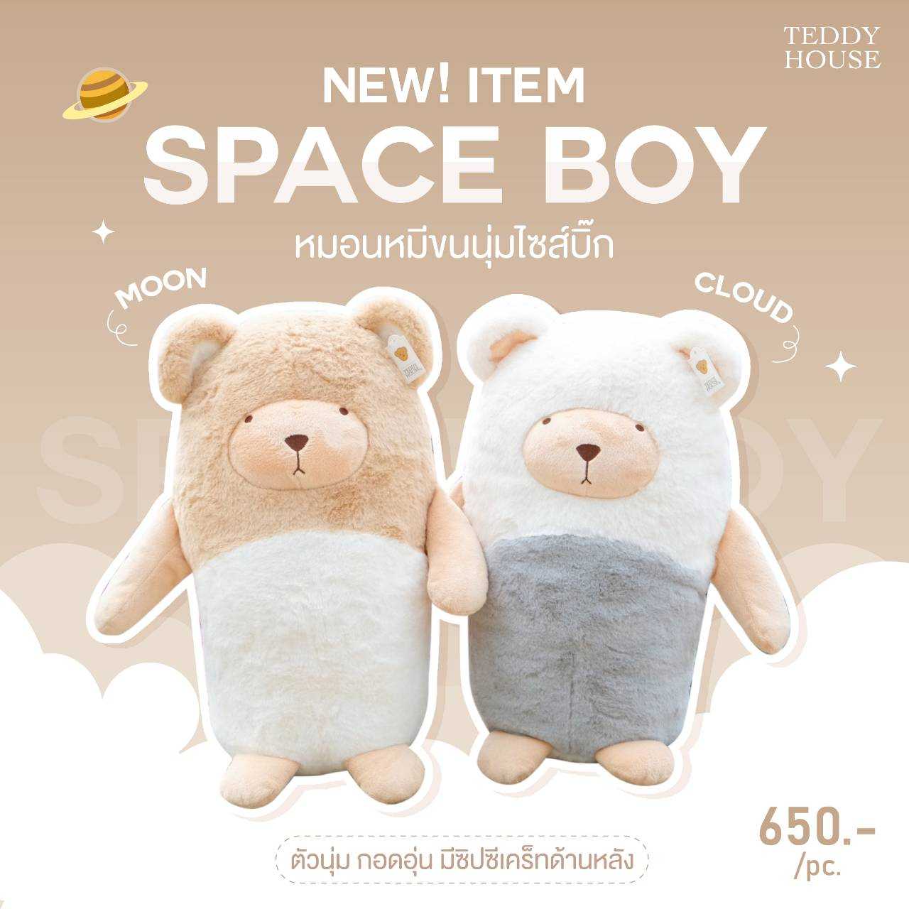 Teddy house sales